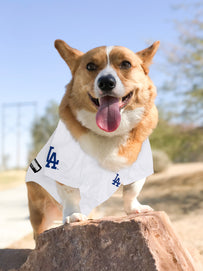 Shohei Ohtani Jersey (Lad)