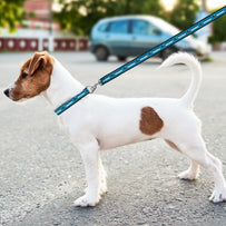 San Jose Sharks Satin Leash