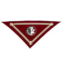 Florida State Sm Bandana
