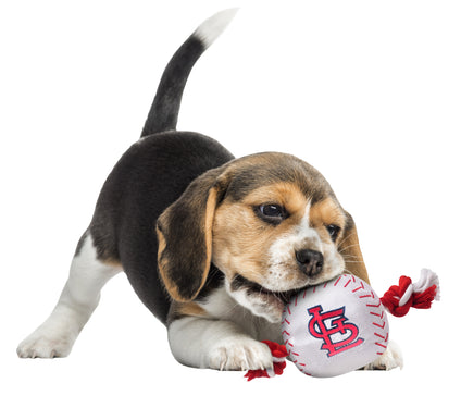 St. Louis Cardinals Nylon Baseball Rope Toy