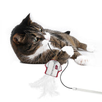 ST LOUIS CARDINALS TEAM JERSEY WAND WITH CAT NIP