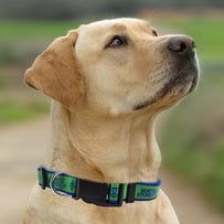 Seattle Sounders FC Satin Collar
