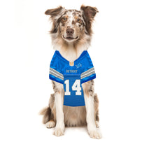 Amon-Ra St. Brown Pet Striped Jersey (Det)