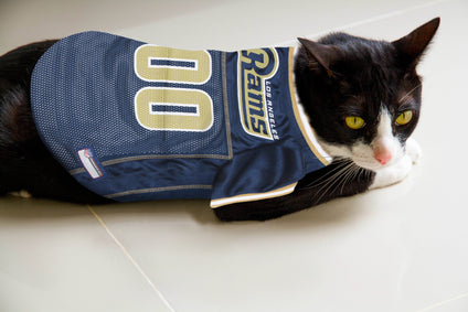 Los Angeles Rams Raglan Jersey