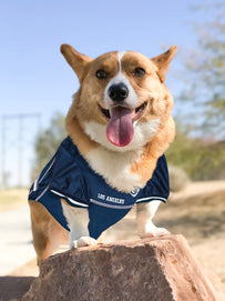 Los Angeles Rams Mesh Pet Jersey