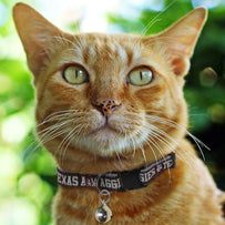 Texas A & M Cat Collar