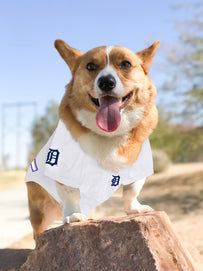 Detroit Tigers Pet Jersey