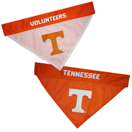 Tennessee Reversible Bandana