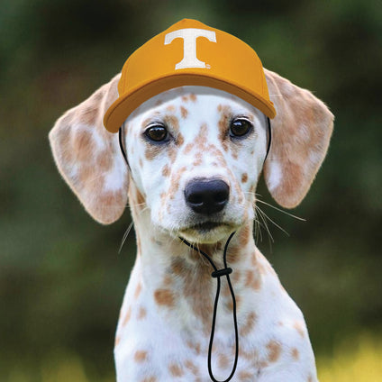 Tennessee Pet Caps