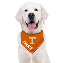 TENNESSEE TIE AROUND BANDANA