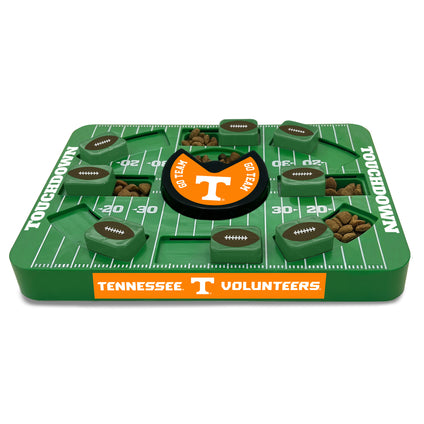 Tennessee Large Puzzle Toy