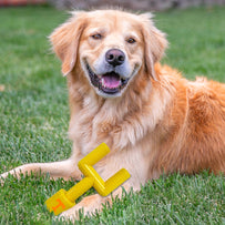 TENNESSEE HARD NYLON GOAL POST CHEW TOY