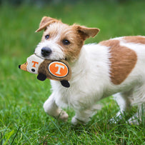 TENNESSEE PLUSH HEDGEHOG TOY