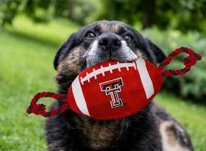 Texas Tech Nylon Football