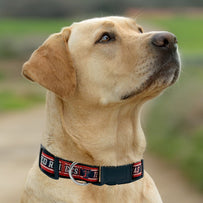 Texas Tech Satin Collar