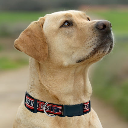 Texas Tech Satin Collar