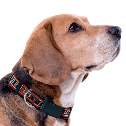 Texas Tech Satin Collar