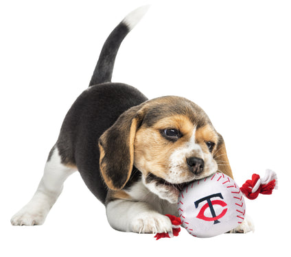 Minnesota Twins Nylon Baseball Rope Toy