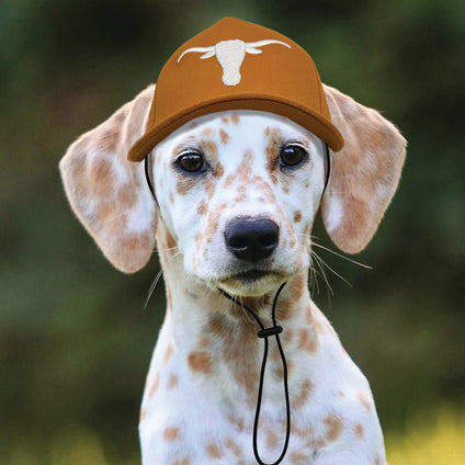 Texas Pet Caps