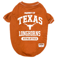 Texas Tee Shirt