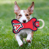 Arizona Dental Ring Toy