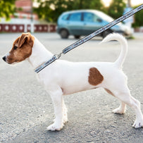 U Of North Carolina Satin Leash