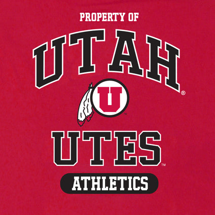 Utah Tee Shirt