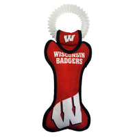 Wisconsin Dental Toy