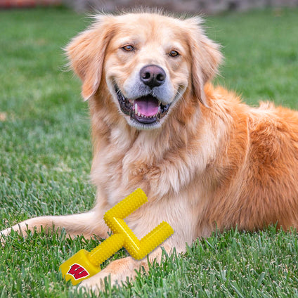 WISCONSIN HARD NYLON GOAL POST CHEW TOY