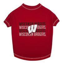 Wisconsin Stripe Text Tee Shirt