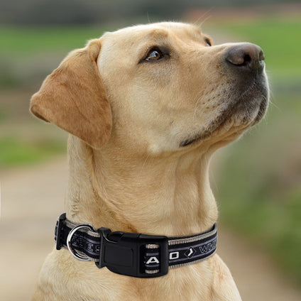 Chicago White Sox Satin Collar