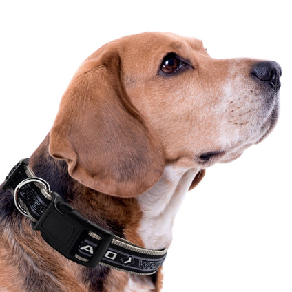 Chicago White Sox Satin Collar