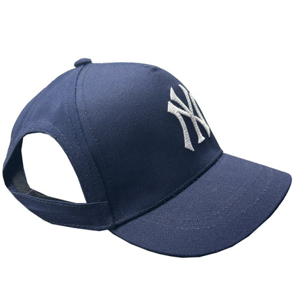 Boston Red Sox Pet Caps