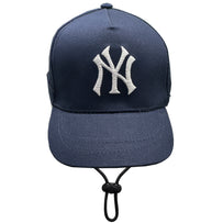 Boston Red Sox Pet Caps