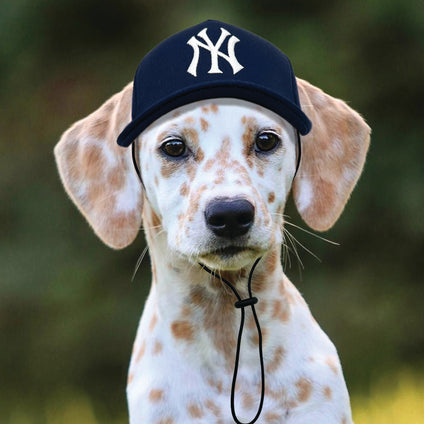Boston Red Sox Pet Caps