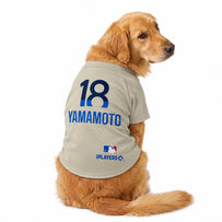 Yoshinobu Yamamoto City Connect Jersey (Lad)