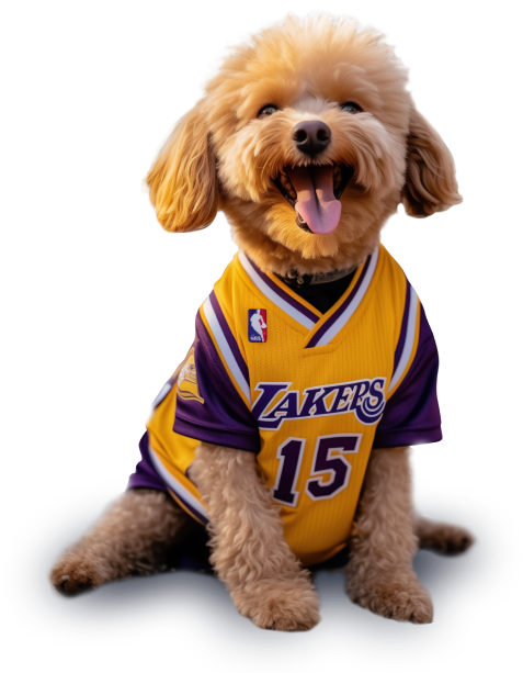 An image of the dog in Lakers jersey.